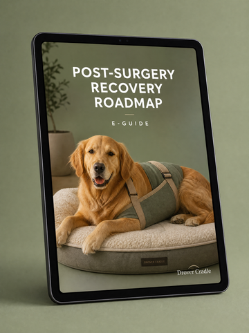 Post-Surgery Recovery Roadmap E-Guide