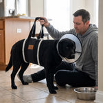 The Drover Cradle